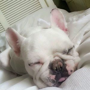 Meet your Posher, Joanne